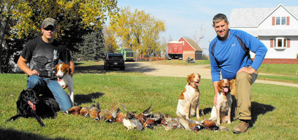 Haugen Ranch Kennels Dog Kenneling Minot North Dakota 