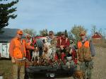 Dog Breeders North Dakota, Haugen Ranch Kennels, Dog Boarding Minot, North Dakota, Pet Boarding Minot, North Dakota, Brittany Spaniels