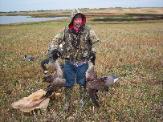 Dog Breeders North Dakota, Haugen Ranch Kennels, Dog Boarding Minot, North Dakota, Pet Boarding Minot, North Dakota, Brittany Spaniels
